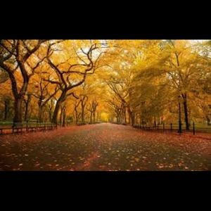 Meet your Posher, Julio